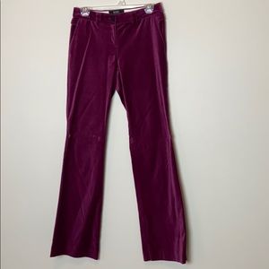 Body by Victoria Plum Velvet Pants